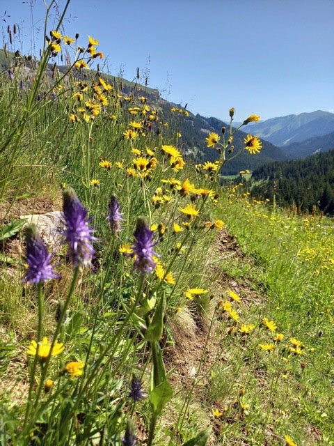 Barbara_Lehmann_20220622-56_Allgäu_0_1