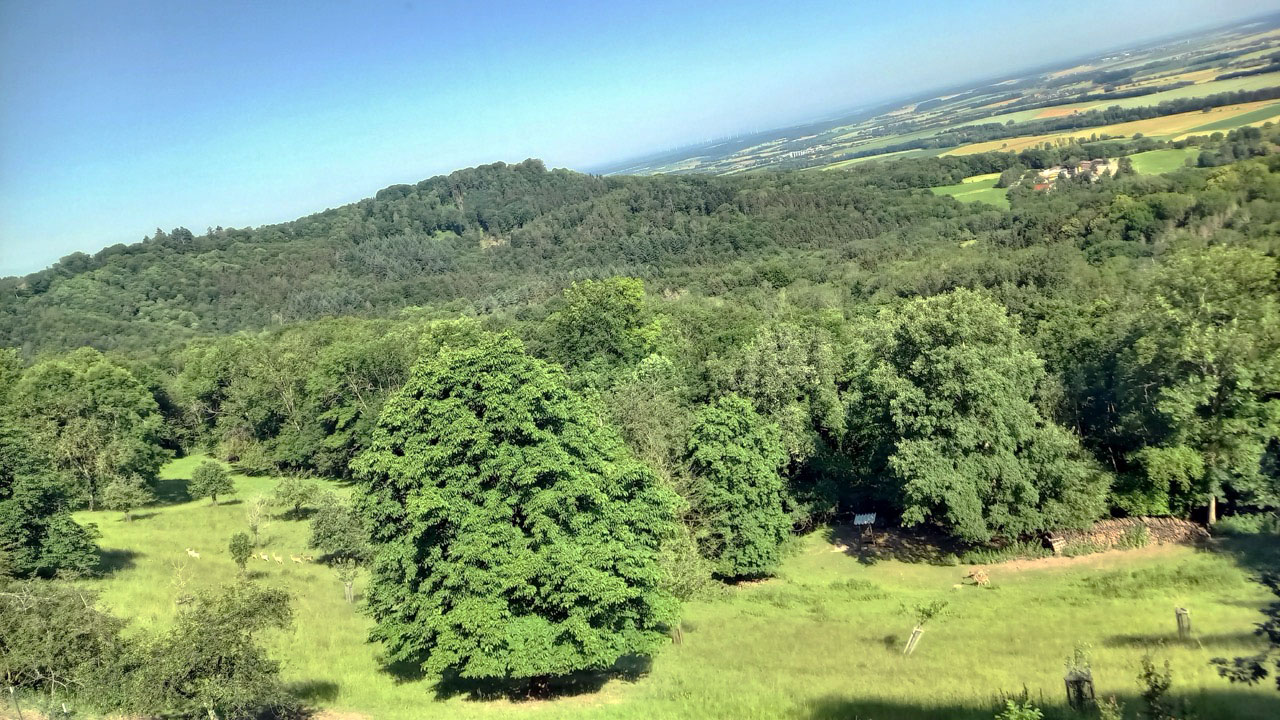 Landschaft mit Blick in die Weite.