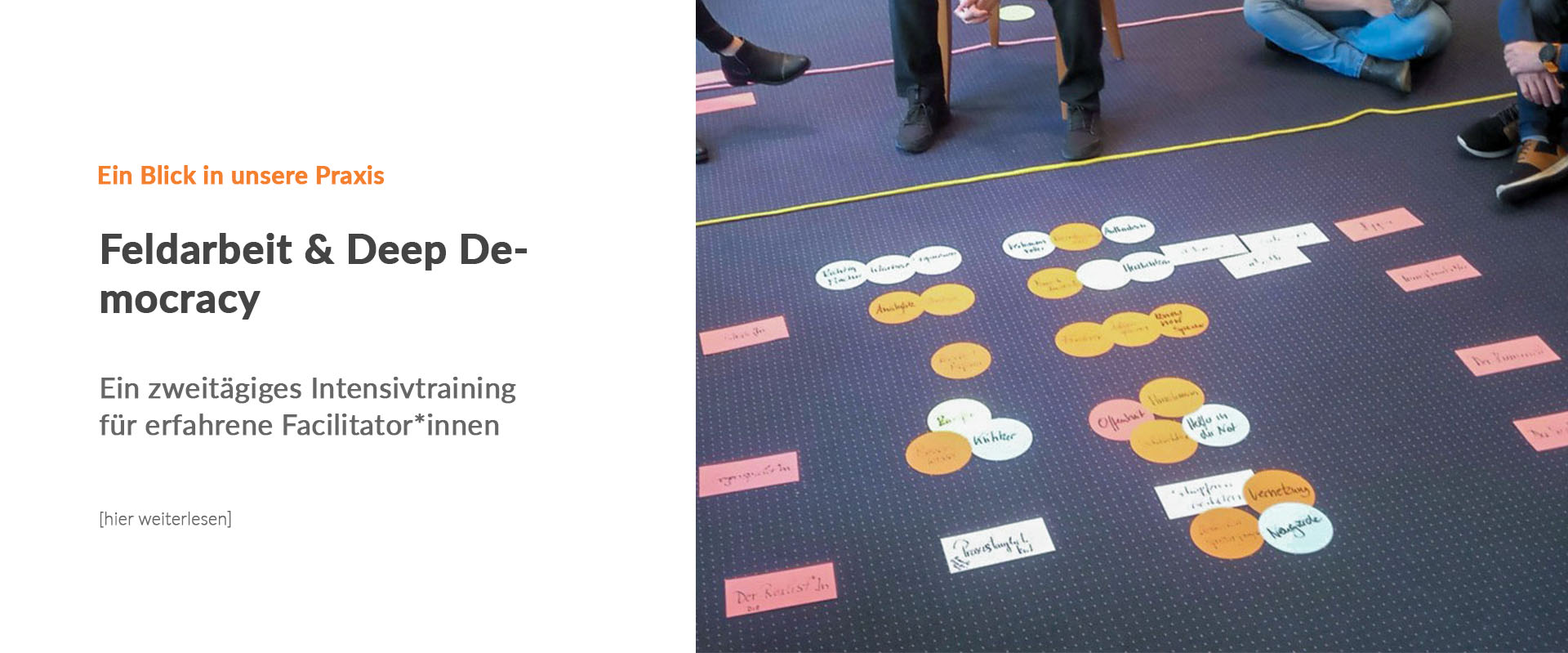 Slide Feldarbeit und Deep democracy